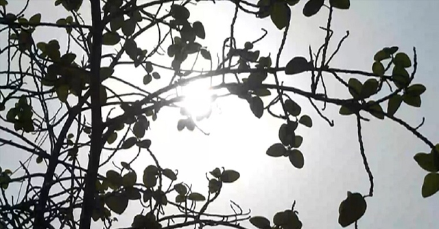 আজ থেকে কার্যকর হচ্ছে বিধিনিষেধ