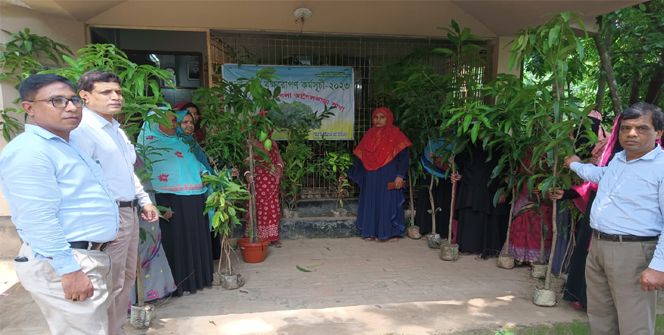 বরিশালে গ্রামীণ ব্যাংকের লক্ষাধিক সদস্যদের গাছের চারা বিতরণ
