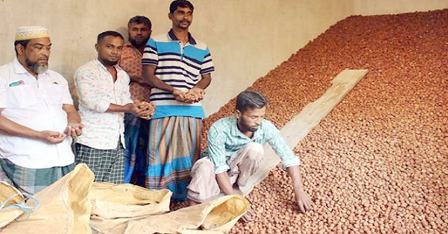 মঠবাড়িয়াসহ উপকূলীয় অঞ্চলের সুপারি রপ্তানি হচ্ছে বিদেশে 