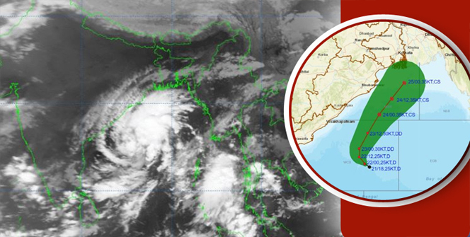 ‘হাজার হাজার গাছ কেটে ফেলেছিলেন জিয়াউর রহমান’