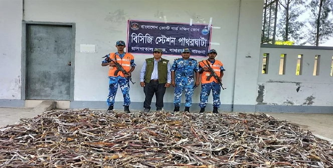 বরিশালের পাথরঘাটায় ৫০০ মণ নিষিদ্ধ হাঙরের শুঁটকি জব্দ