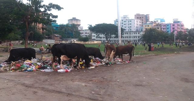 ডাস্টবিন দখল করে আ’লীগ কার্যালয়, আবর্জনা ফেলা হচ্ছে খেলার মাঠে