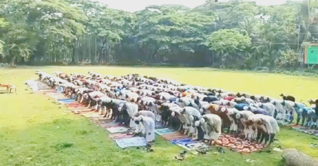 দৌলতখানে বৃষ্টির জন্য বিশেষ নামাজ