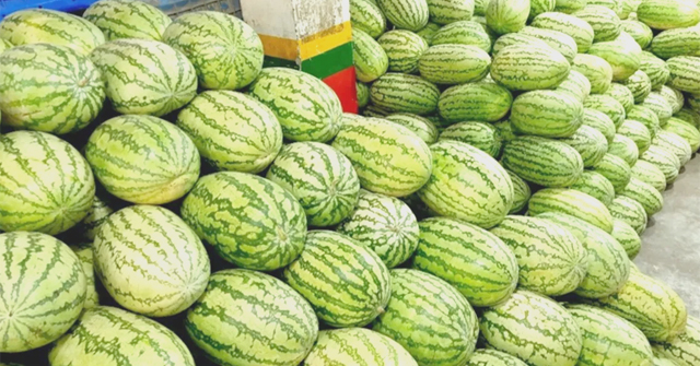 ৫ কেজির তরমুজের দাম ছুঁলো ৫০০ টাকা