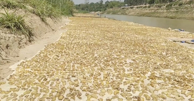 যে গ্রামের আয়ের উৎস আলুর চিপস
