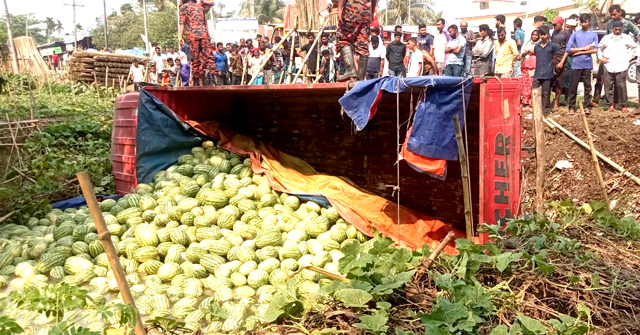 গৌরনদীতে তরমুজ বোঝাই ট্রাক ডোবায়, চালক আহত