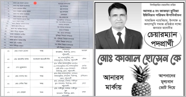  স্বতন্ত্র মোড়কে ভোটের মাঠে বিএনপি নেতা