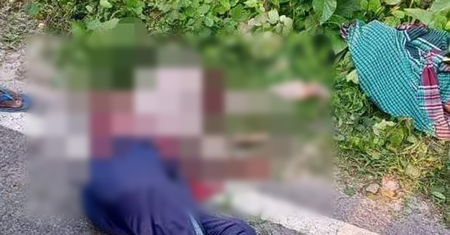 পিরোজপুরে ট্রলির চাপায় কৃষকের মৃত্যু