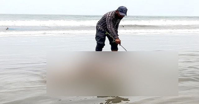 কুয়াকাটা সৈকতে আবার ভেসে এল দুটি মৃত ডলফিন
