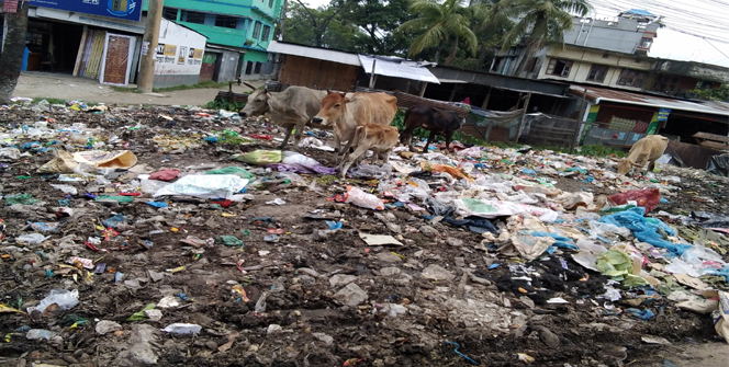 ২১ বছরেও নগরীর কোথাও বসানো হয়নি ডাস্টবিন