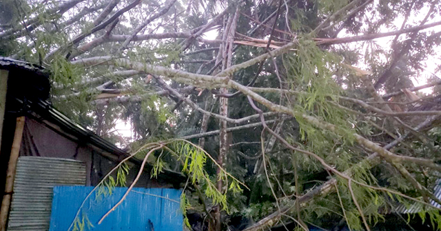 দুটি ট্রলারসহ ১০ বাংলাদেশিকে ধরে নিয়ে গেছে মিয়ানমার