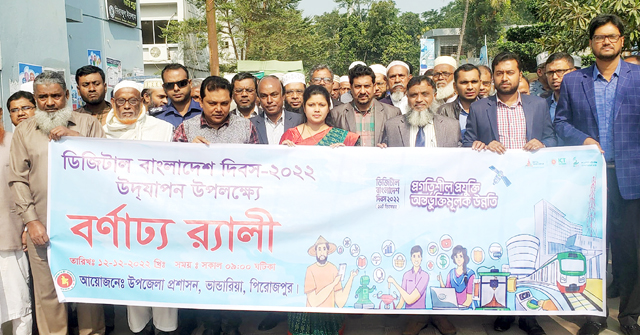ভাণ্ডারিয়ায় ডিজিটাল বাংলাদেশ দিবস উদযাপন