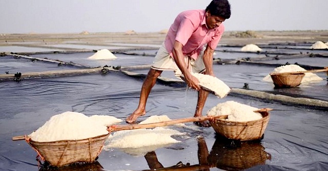 দেশে ৬২ বছরের মধ্যে সবচেয়ে বেশি লবণ উৎপাদন