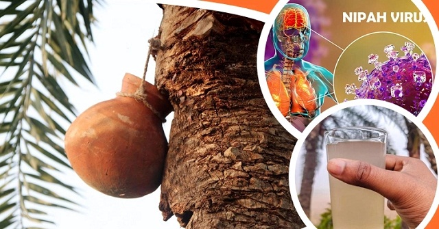 খেজুরের রস পানে সতর্ক থাকার আহ্বান