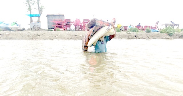 বাঁধ ভেঙে রাঙ্গাবালীর ২০ গ্রাম প্লাবিত