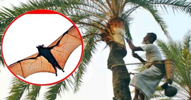 চেকপোস্টে গাড়ি চাপায় পুলিশ সদস্য নিহত