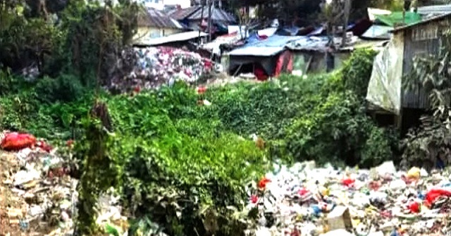 দুমকিতে পীরতলা খাল এখন ময়লার ভাগাড়!