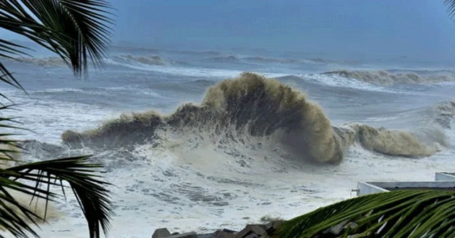 প্রফেসর সাইদুুল ইসলাম এর মৃত্যুতে নানকের শোক