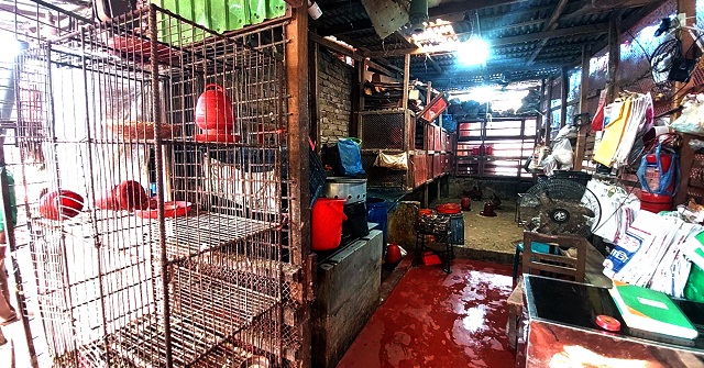 ঝালকাঠির বাজার থেকে মুরগি উধাও