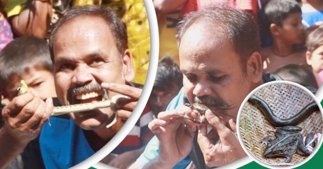 জ্যান্ত সাপ-ব্যাঙ-কেঁচো সবই খান ‘ডিসকভারি আকরাম’