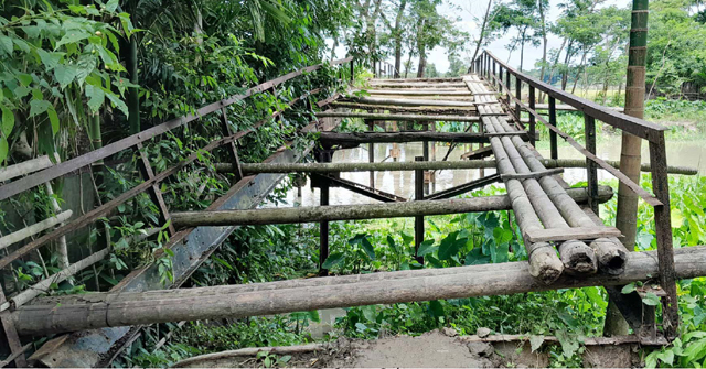 মঠবাড়িয়ায় সেতুতে সুপারি গাছ দিয়ে ৯ গ্রামের মানুষের চলাচল