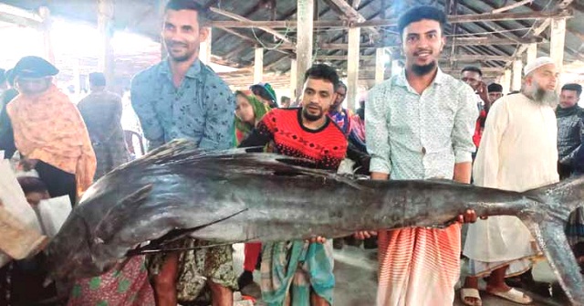 জালে ধরা পড়ল ৭ ‘পাখি মাছ’, ৪২ হাজারে বিক্রি