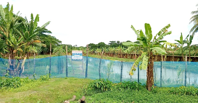 চরফ্যাশনে বাড়ি-ঘর দখলের অভিযোগ 