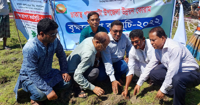 বজ্রপাত ঠেকাতে দশ হাজার তালের বিজ রোপন