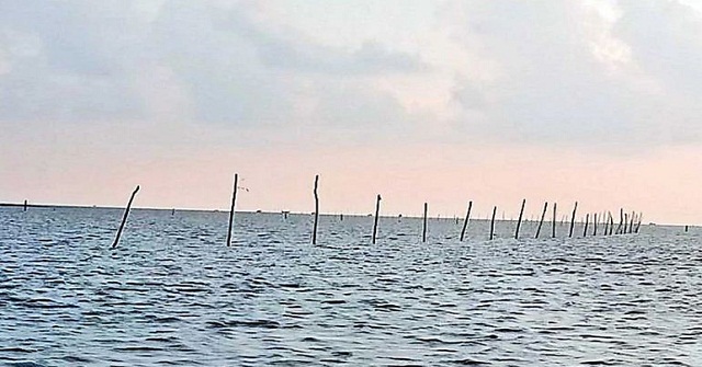 খুঁটা জালে ইলিশ প্রজননে বাধা