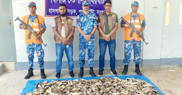 পাথরঘাটায় ট্রলার থেকে জব্দ ১২০০ হাঙর