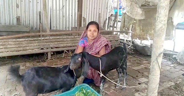 মঠবাড়িয়ায় জেলেদের কাছ থেকে উৎকোচ নিয়ে গরুর বদলে দিল ছাগলের বাচ্চা!