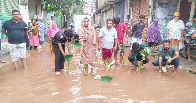 ঝালকাঠিতে সামান্য বৃষ্টিতে সড়কে হাঁটু পানি, কচুগাছ লাগিয়ে এলাকাবাসীর প্রতিবাদ
