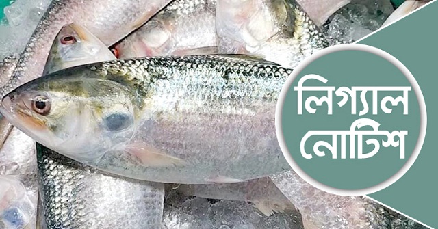 ইলিশ রপ্তানি বন্ধে ব্যবস্থা নিতে লিগ্যাল নোটিশ
