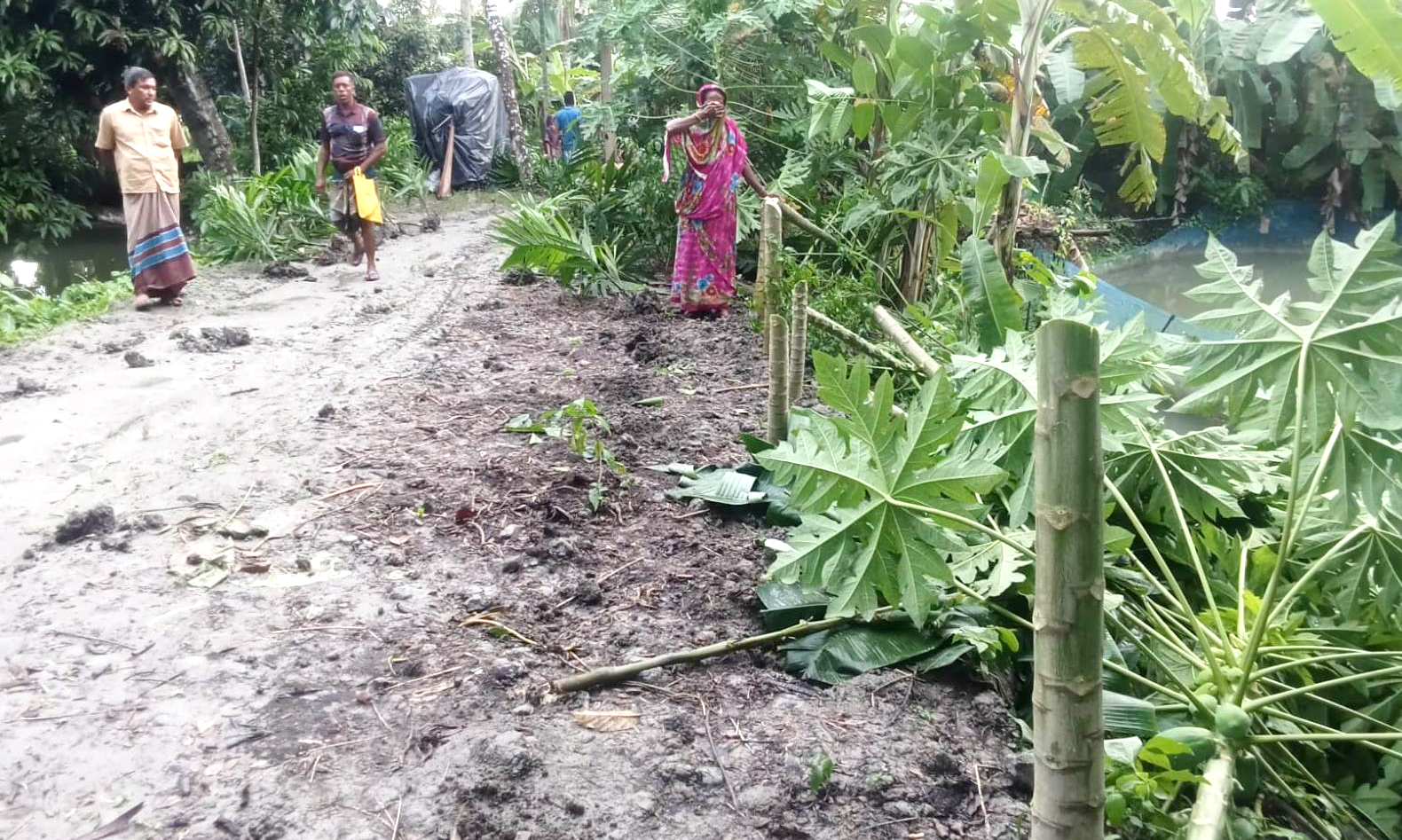  উজিরপুরে মাদকের প্রতিবাদ করায় প্রবাসীর বাড়িতে হামলা