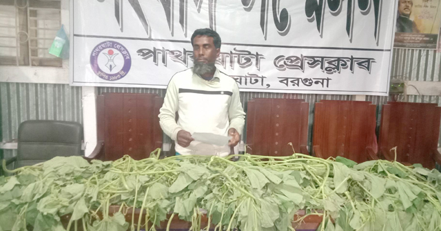 নেশার টাকা না দেয়ায় ছোট ভাইয়ের সবজি ক্ষেত বিনষ্ট