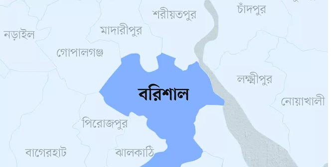 নাইজারে বন্দুকধারীদের হামলায় মেয়রসহ নিহত ৬৯
