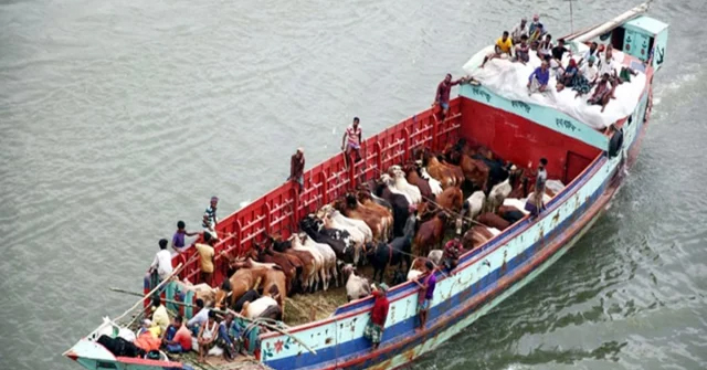 অনূর্ধ্ব-১৯ বিশ্বকাপের জন্য বাংলাদেশের শক্তিশালী দল ঘোষণা