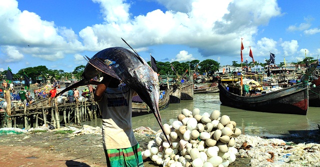 বঙ্গোপসাগরে আবারও ধরা পড়লো ৬০ কেজি পাখি মাছ