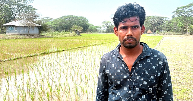মঠবাড়িয়ায় হাঁসে ধান ক্ষেত নস্ট করার প্রতিবাদ করায় মারধর