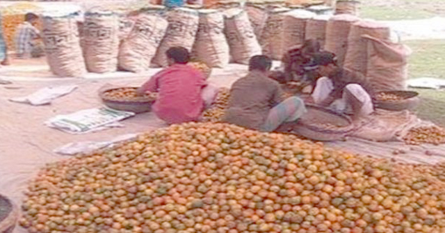 লালমোহনের সুপারি যাচ্ছে দেশে-বিদেশে